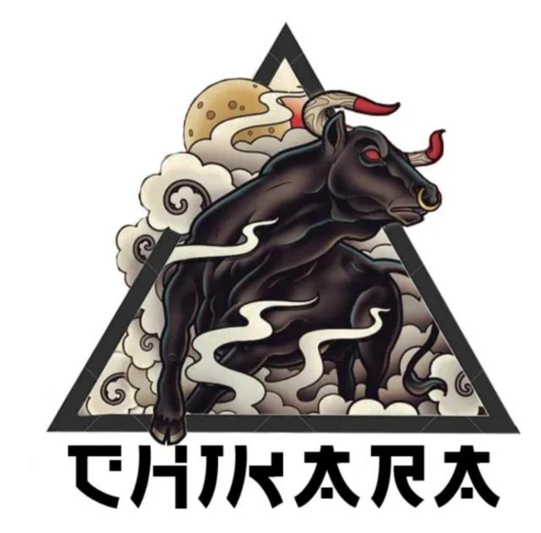 Chikara Program