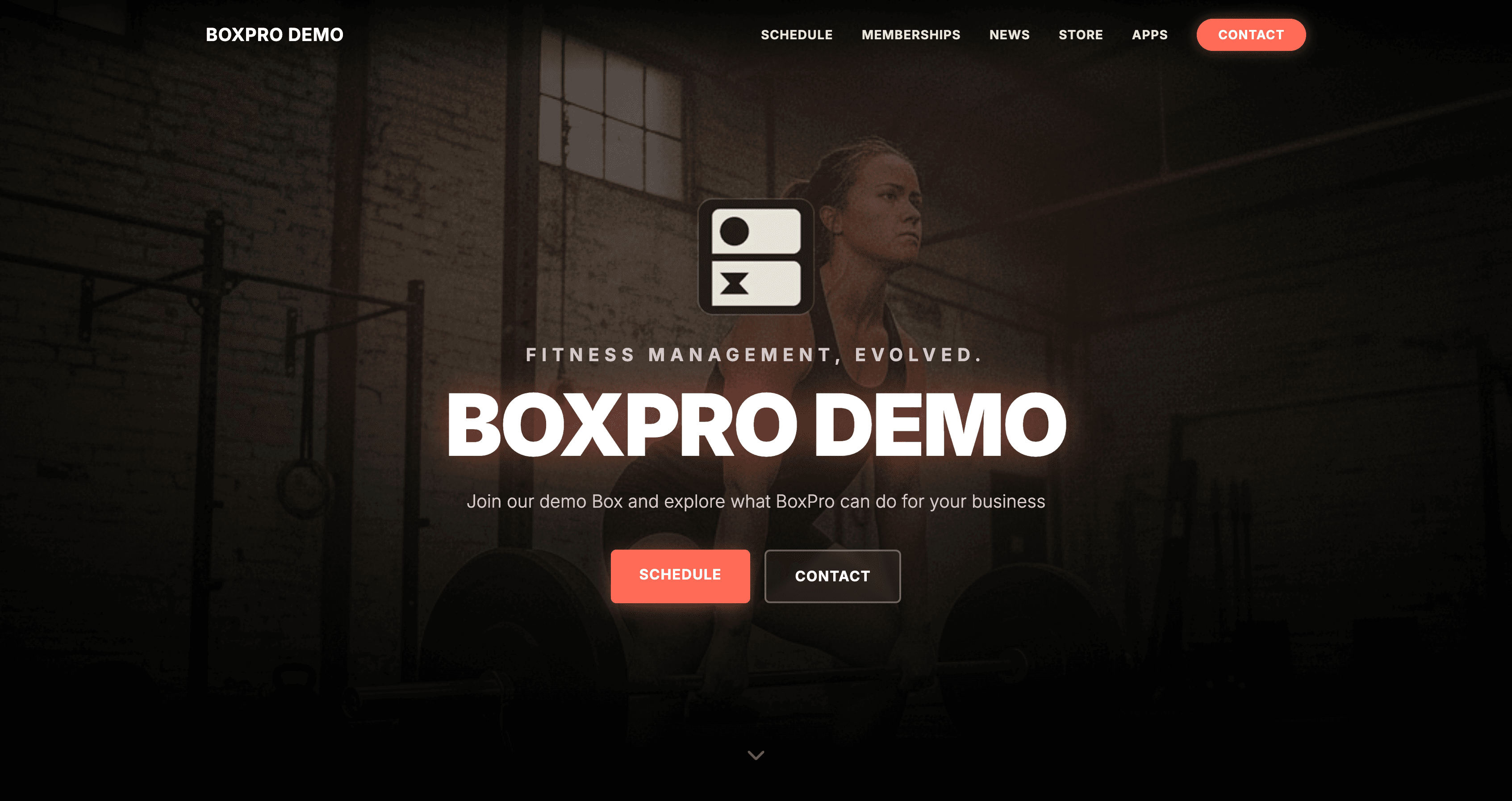 Demo Website